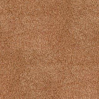 Ковролин AW Parana 84 фото 1 | FLOORDEALER